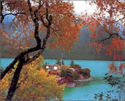林芝明天天气