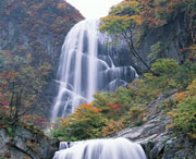 茂县后天天气
